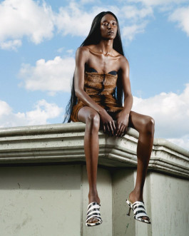 CAMILLE NAOMI FRANKE