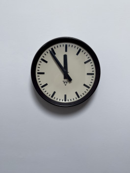 CAMILLE NAOMI FRANKE